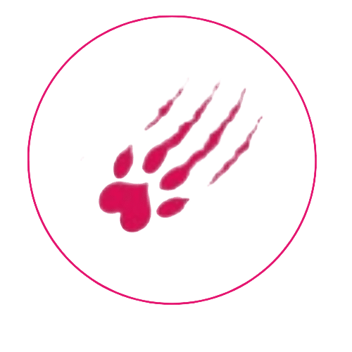 SoCougar