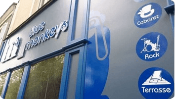 blue-monkeys-angers