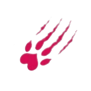 SoCougar