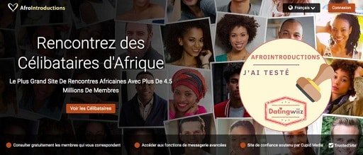 avis-afrointroductions