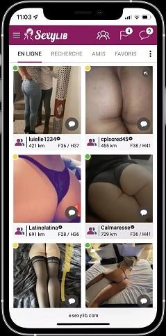 exemple-profil-sexylib