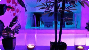 le-container-sauna-libertin-gay-bordeaux